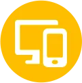 Dragon Tiger Icon